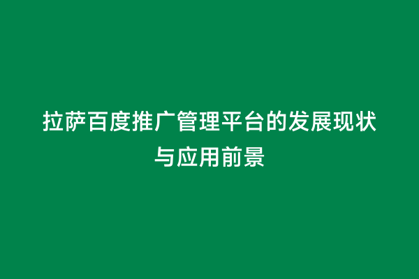 拉萨百度推广管理平台的发展现状与应用前景