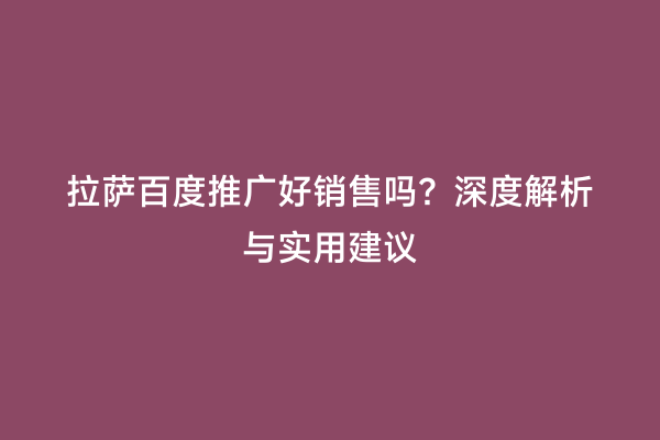 拉萨百度推广好销售吗？深度解析与实用建议