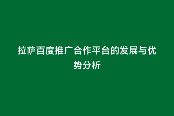 拉萨百度推广合作平台的发展与优势分析