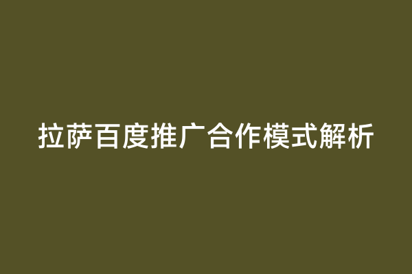 拉萨百度推广合作模式解析