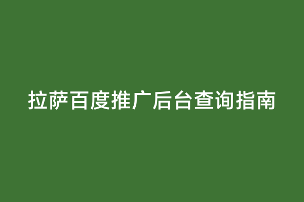 拉萨百度推广后台查询指南
