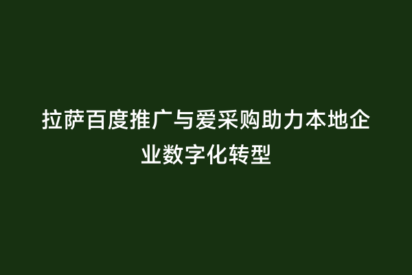 拉萨百度推广与爱采购助力本地企业数字化转型