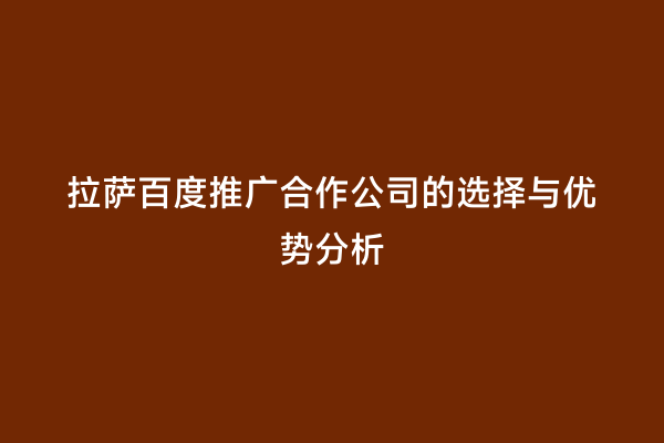 拉萨百度推广合作公司的选择与优势分析
