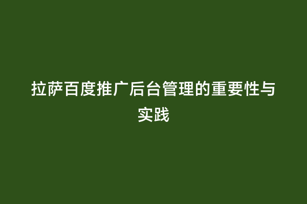 拉萨百度推广后台管理的重要性与实践