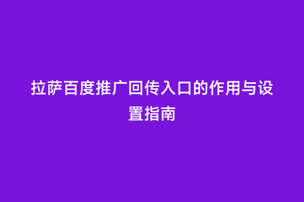 拉萨百度推广回传入口的作用与设置指南