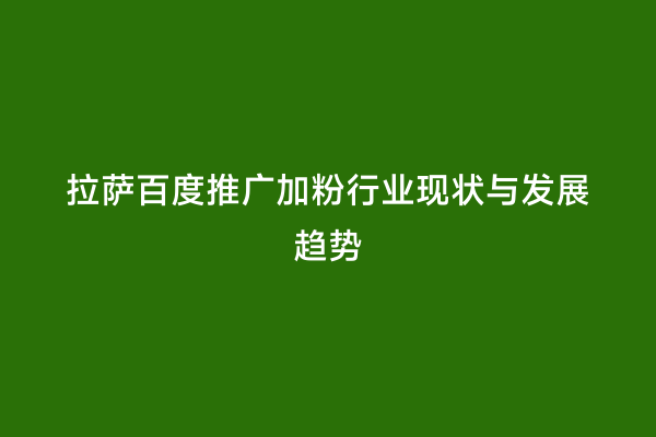 拉萨百度推广加粉行业现状与发展趋势