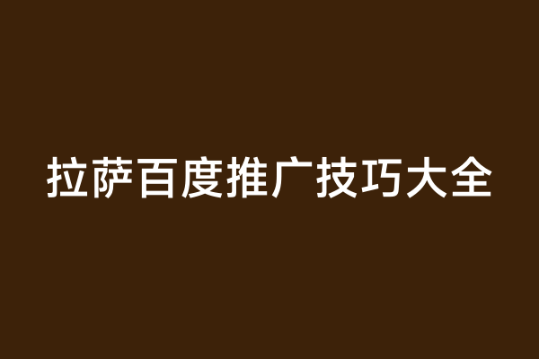 拉萨百度推广技巧大全