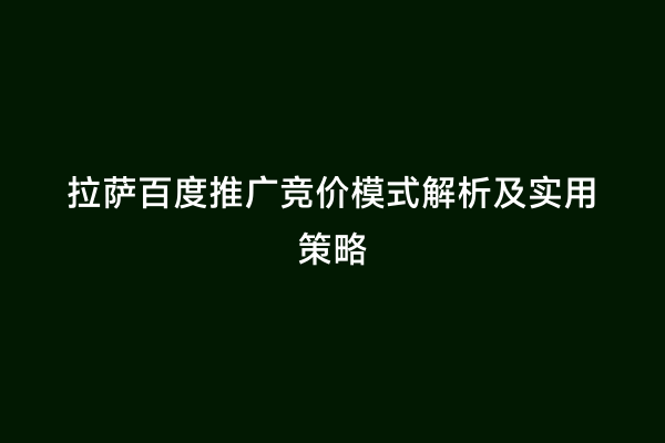 拉萨百度推广竞价模式解析及实用策略