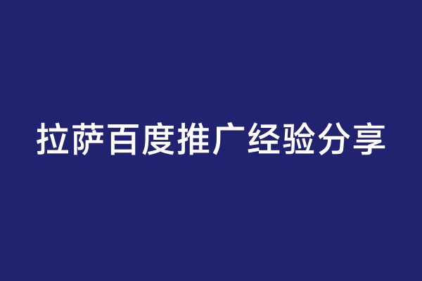 拉萨百度推广经验分享