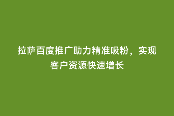拉萨百度推广助力精准吸粉，实现客户资源快速增长