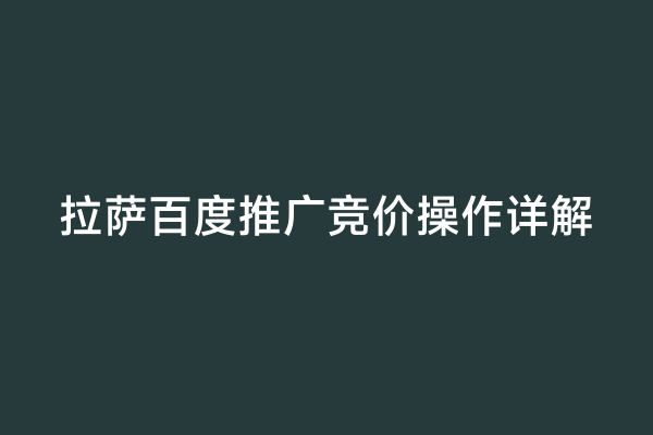 拉萨百度推广竞价操作详解