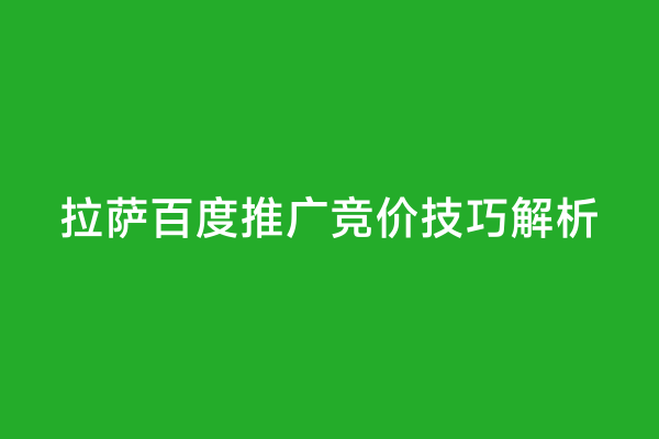 拉萨百度推广竞价技巧解析