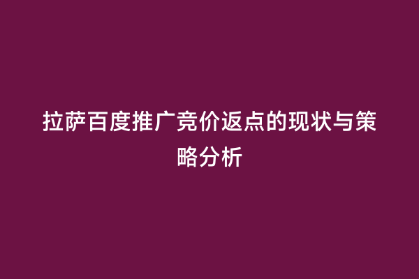 拉萨百度推广竞价返点的现状与策略分析