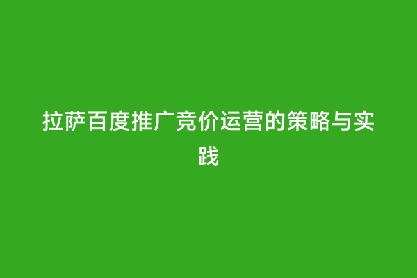 拉萨百度推广竞价运营的策略与实践
