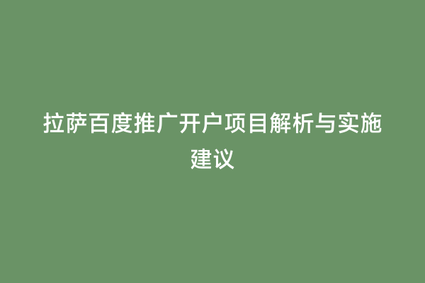 拉萨百度推广开户项目解析与实施建议