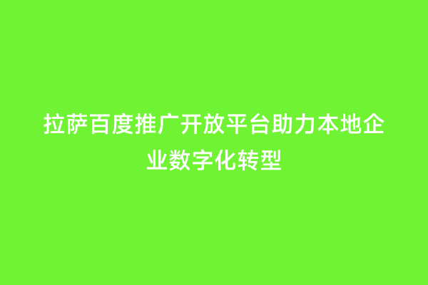 拉萨百度推广开放平台助力本地企业数字化转型