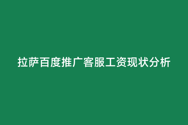 拉萨百度推广客服工资现状分析