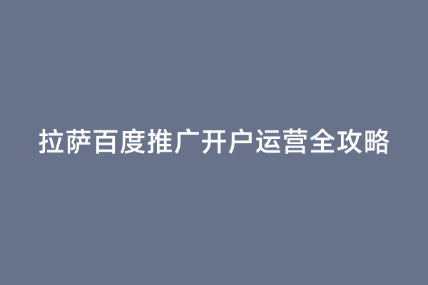 拉萨百度推广开户运营全攻略