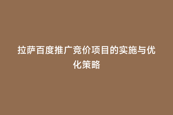 拉萨百度推广竞价项目的实施与优化策略