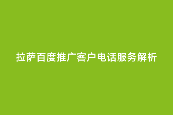 拉萨百度推广客户电话服务解析