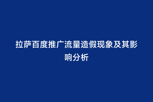 拉萨百度推广流量造假现象及其影响分析