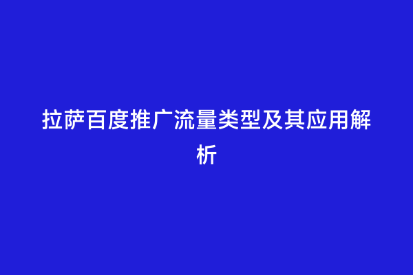拉萨百度推广流量类型及其应用解析