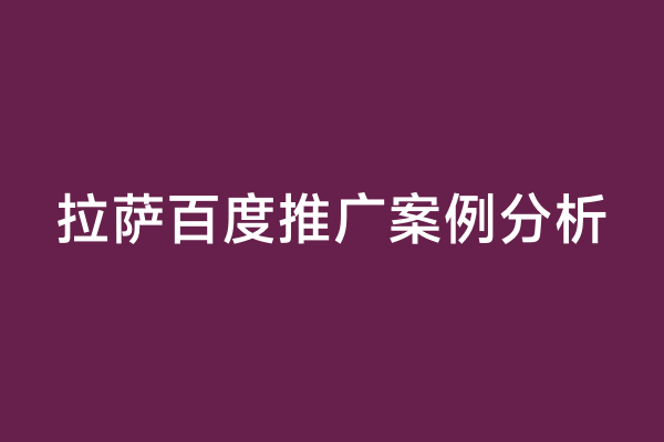 拉萨百度推广案例分析
