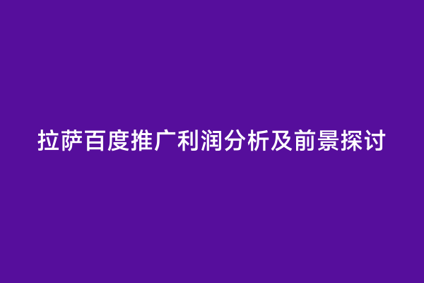 拉萨百度推广利润分析及前景探讨