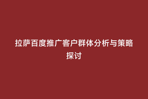 拉萨百度推广客户群体分析与策略探讨