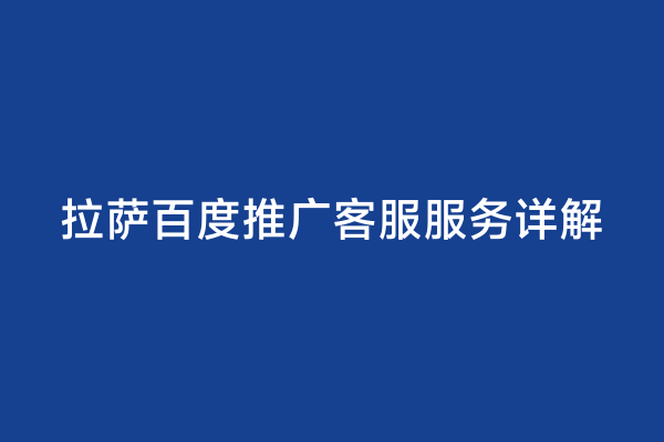 拉萨百度推广客服服务详解