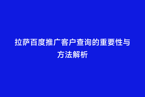 拉萨百度推广客户查询的重要性与方法解析