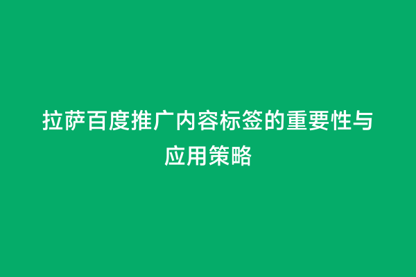 拉萨百度推广内容标签的重要性与应用策略