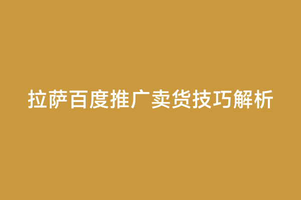 拉萨百度推广卖货技巧解析