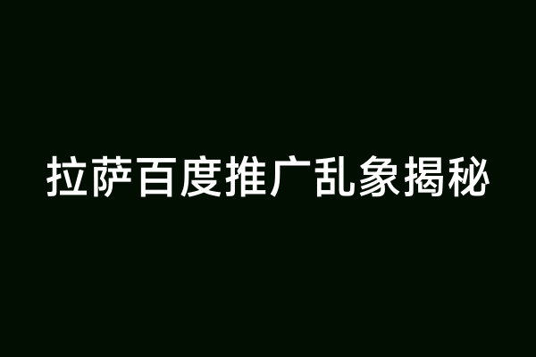 拉萨百度推广乱象揭秘