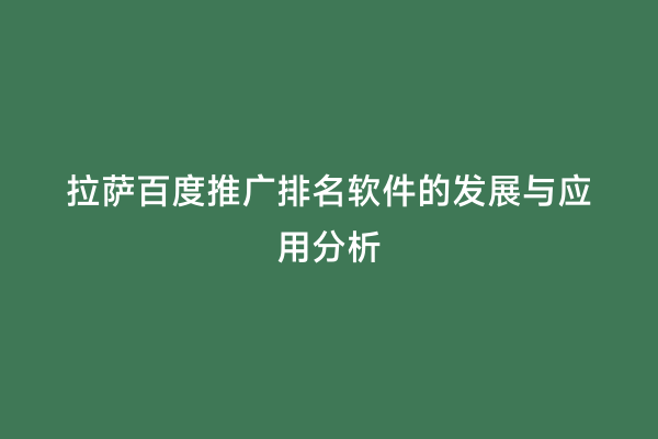 拉萨百度推广排名软件的发展与应用分析
