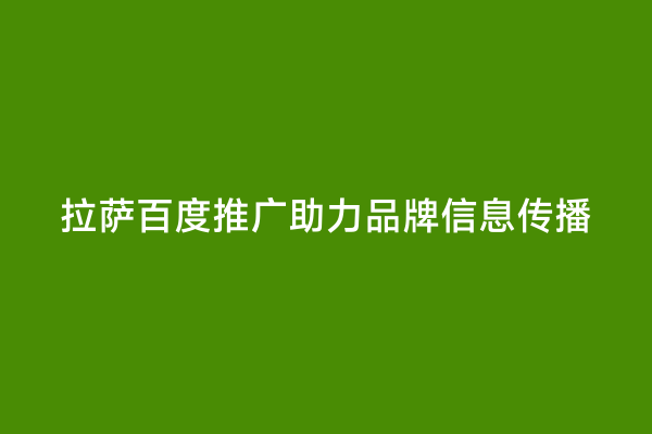 拉萨百度推广助力品牌信息传播