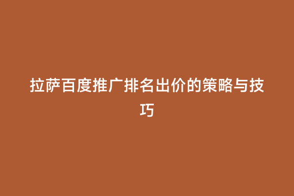 拉萨百度推广排名出价的策略与技巧