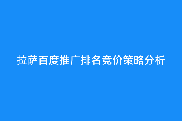 拉萨百度推广排名竞价策略分析