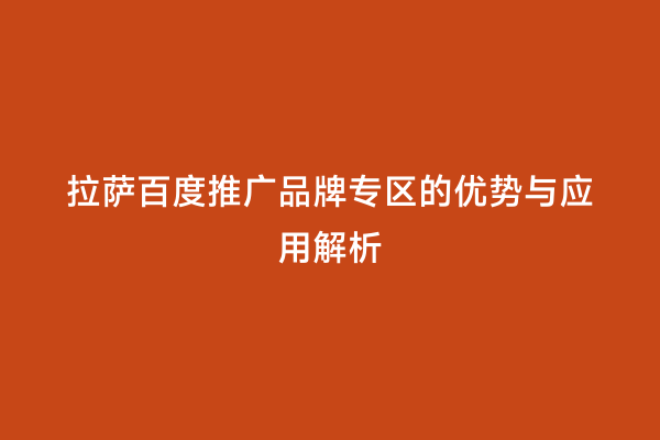 拉萨百度推广品牌专区的优势与应用解析