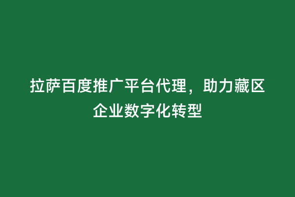 拉萨百度推广平台代理，助力藏区企业数字化转型