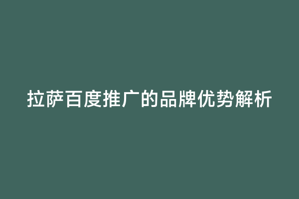 拉萨百度推广的品牌优势解析