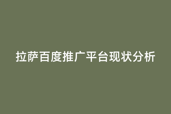拉萨百度推广平台现状分析