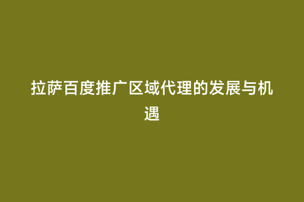 拉萨百度推广区域代理的发展与机遇