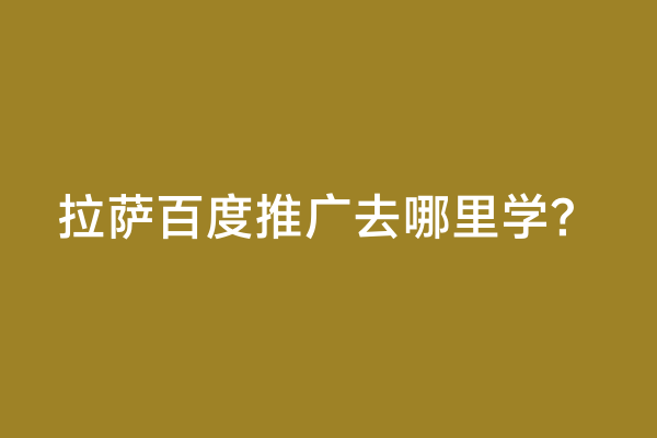拉萨百度推广去哪里学？