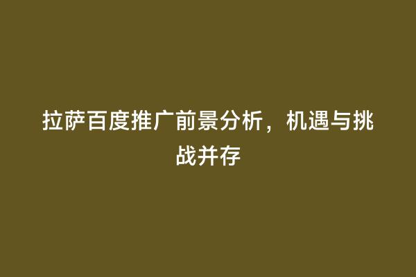 拉萨百度推广前景分析，机遇与挑战并存