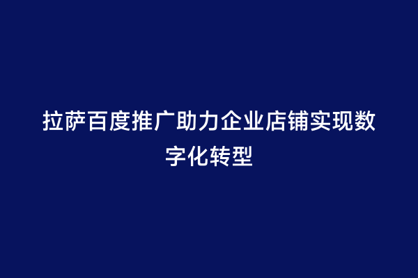 拉萨百度推广助力企业店铺实现数字化转型