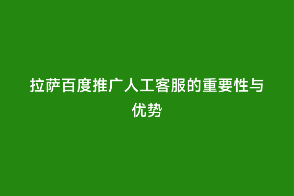 拉萨百度推广人工客服的重要性与优势