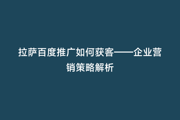 拉萨百度推广如何获客——企业营销策略解析