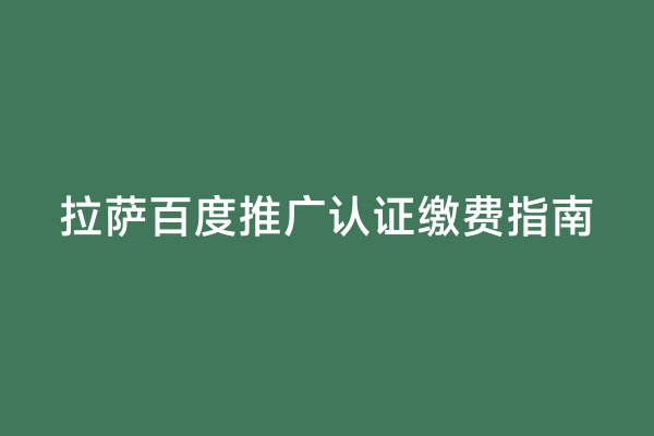 拉萨百度推广认证缴费指南