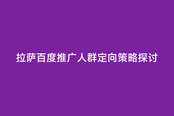 拉萨百度推广人群定向策略探讨